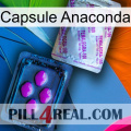 Anaconda Capsule 37